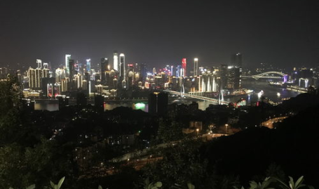 南山网红鸟巢,揭秘城市中的自然奇观与生态魅力