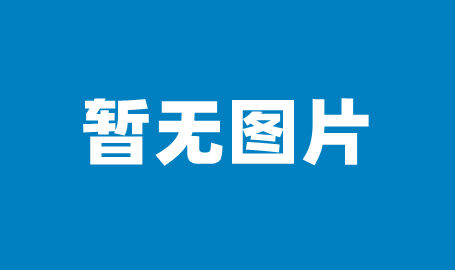 网红猫表白,网红猫的甜蜜情缘